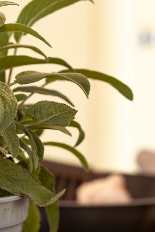 Appartementen Zer En Loft In Centrum 베르겐 외부 사진